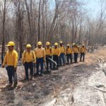 Trabajan de manera coordinada para el combate de incendios forestales en Quintana Roo