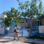 Quintana Roo baja la incidencia de contagios de dengue gracias a intensas campañas de prevención