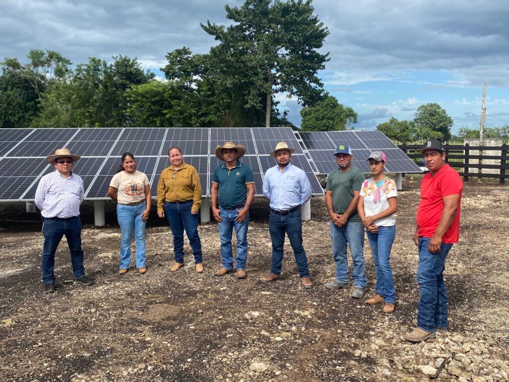 Avanza tecnificación del campo en la Zona Maya de Quintana Roo: SEDARPE ...