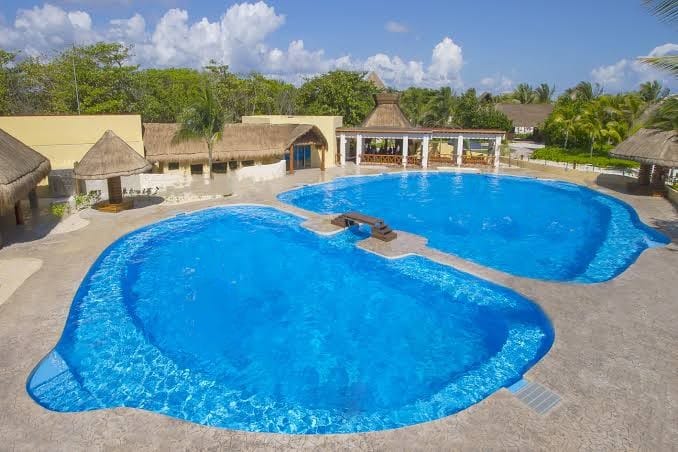 clausuran delfinario en riviera maya