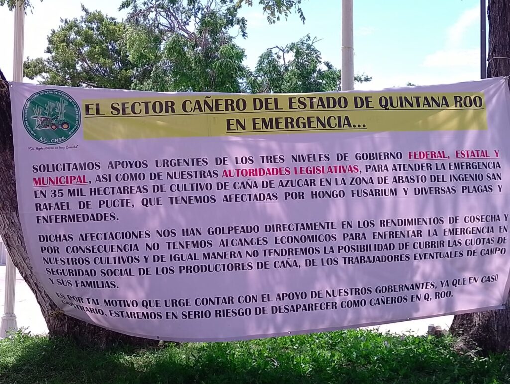 Diálogo abierto con cañeros