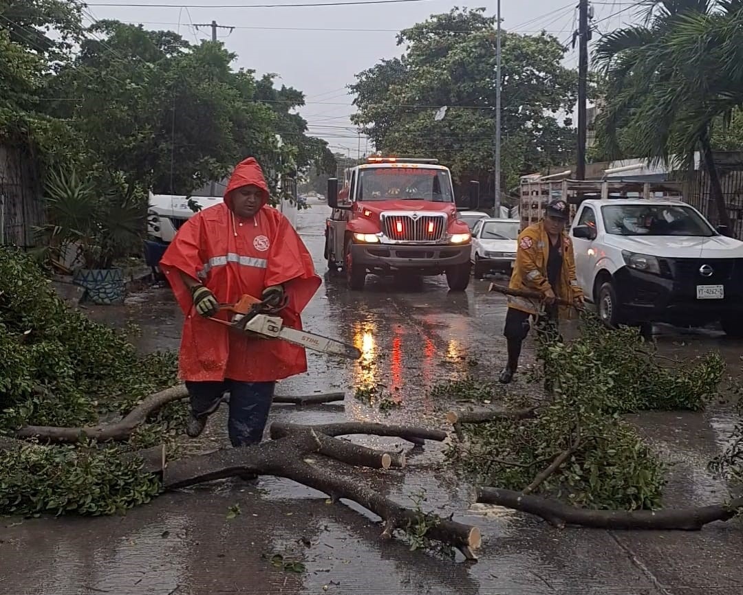 Operativo Tormenta