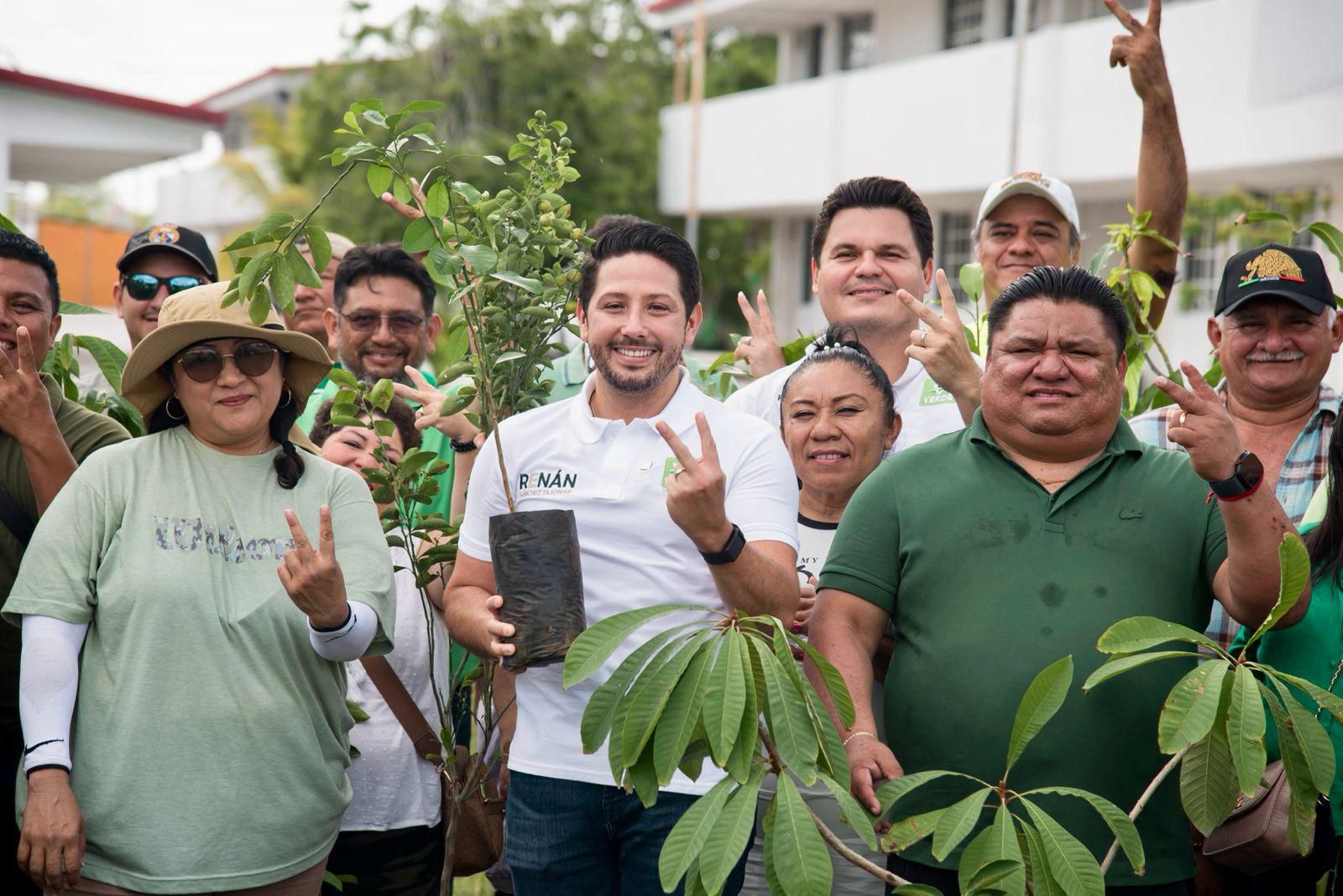 los verdes reforestan