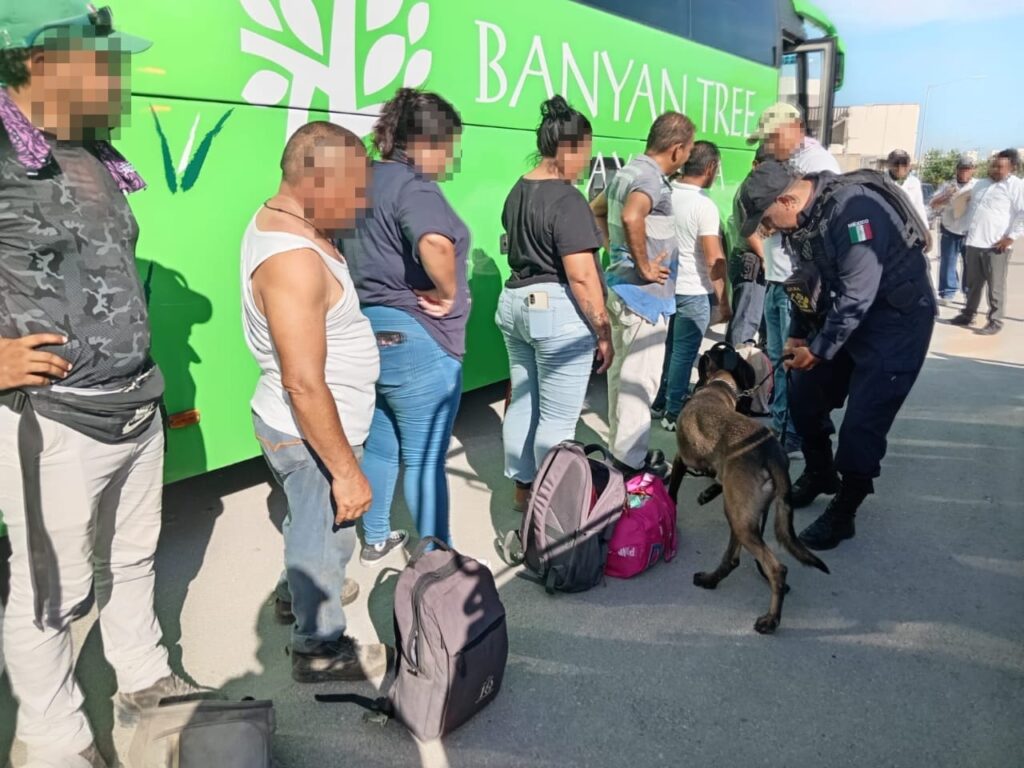 Unidades Canina K9 en playa del Carmen