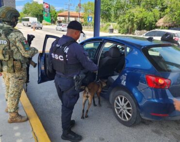 Unidad K9 refuerza seguridad en puntos clave de Quintana Roo