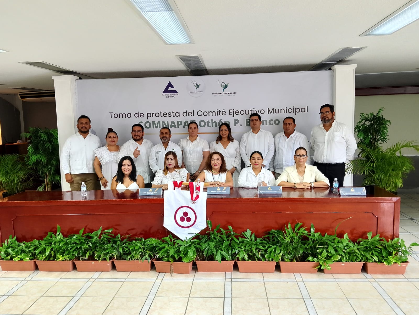 Comite municipal Comnapaz
