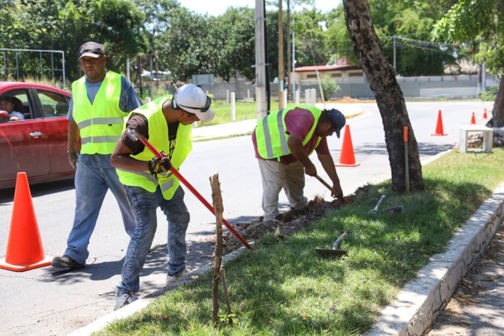 yensuni ilumina chetumal