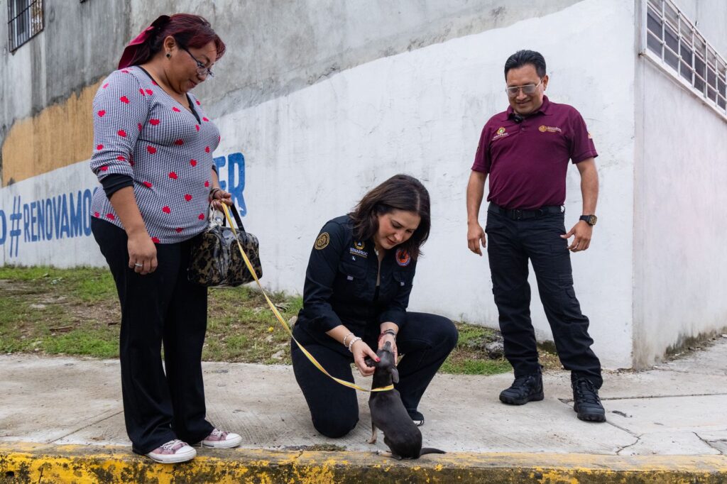 preparativos por lluvias