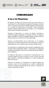 Autoridades detiene invasión y deforestación de predio en playa del Carmen