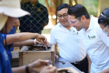 Jóvenes de Carrillo Puerto llevarán proyectos de abejas nativas a Congreso en Costa Rica