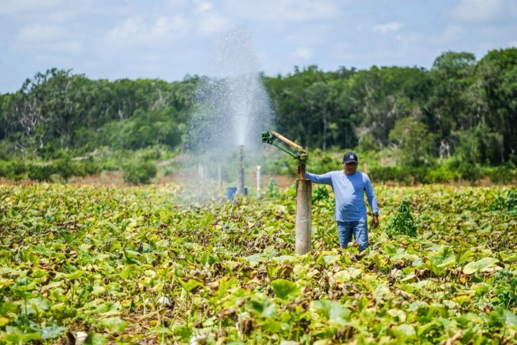 Sedarpe y Conagua apoyos al campo
