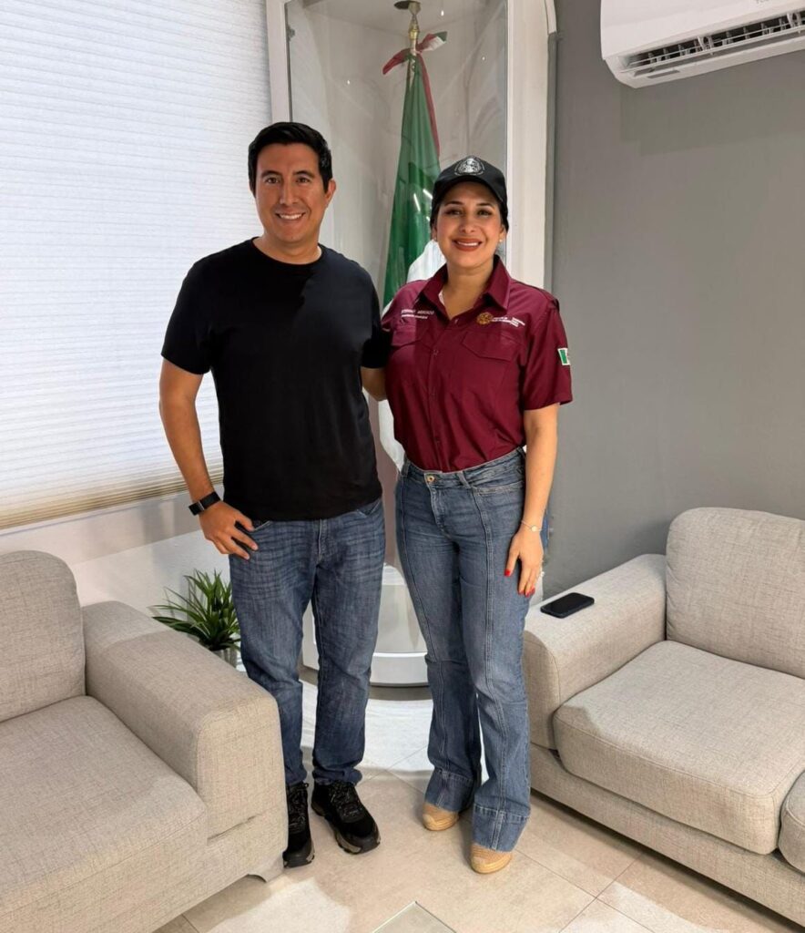 inmoveqroo reordena trasporte en playa del carmen 