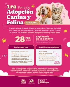 Feria de Adopción 2026 en Chetumal: impulsan bienestar animal