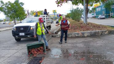 Respuesta rápida del Ayuntamiento evita mayores afectaciones por lluvias en Chetumal