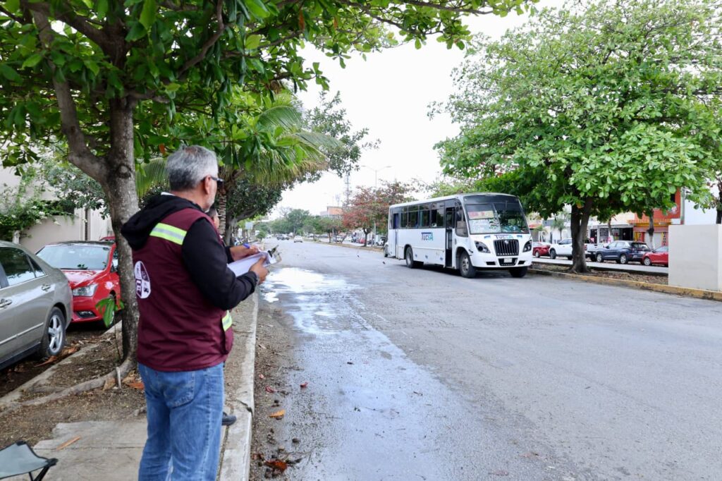 estudios de movilidad en Playa del Carmen