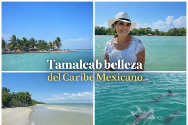 Tamalcab: el paraíso oculto de Chetumal que conquista con delfines y paisajes vírgenes