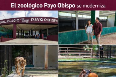 El zoológico Payo Obispo se moderniza con enfoque en biodiversidad