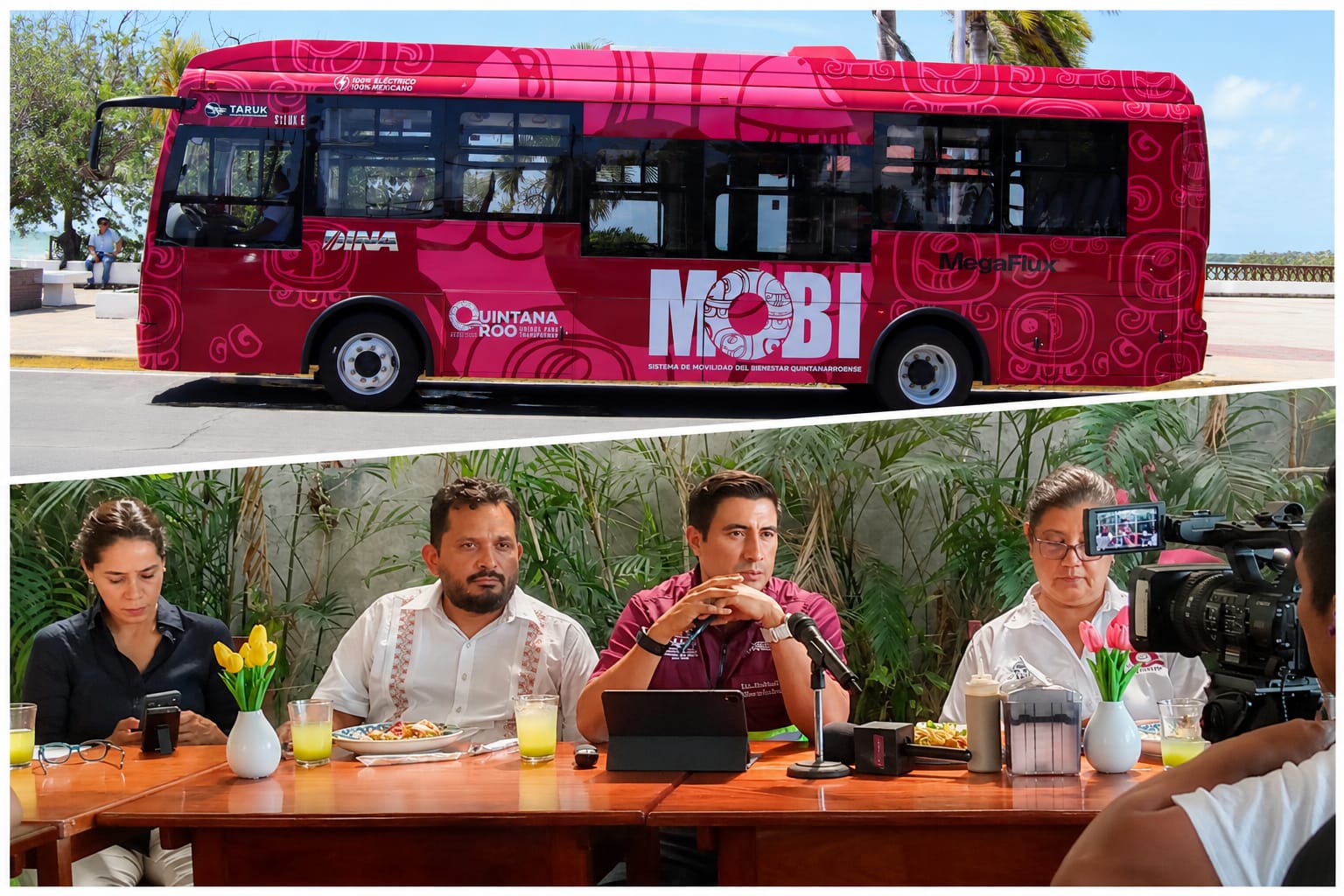 Movilidad - Kotasek