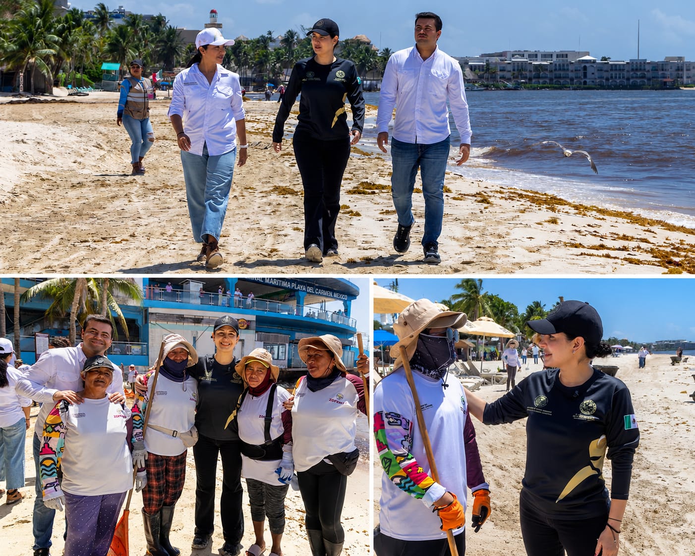 Playa libre sargazo