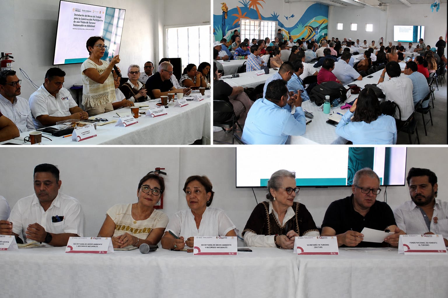 mahahual consulta