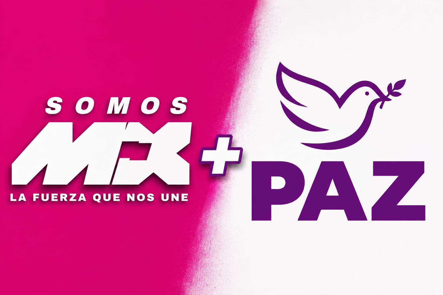 Nuevos partidos, INE