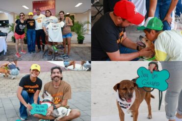 Adoptamanía impulsa la adopción responsable de perros en Playa del Carmen