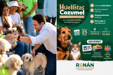 Jornada gratuita de bienestar animal llegará a San Miguel 1 en Cozumel 