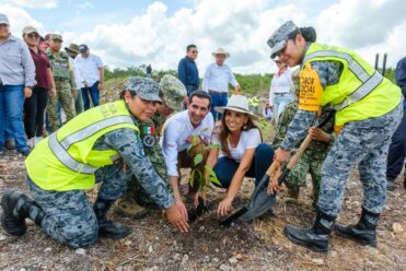 Quintana Roo se suma a la reforestación nacional con más de 12 mil árboles