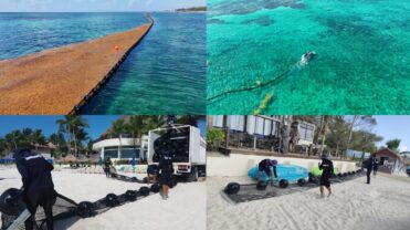 Playa del Carmen blinda su litoral con 5 km de barreras antisargazo