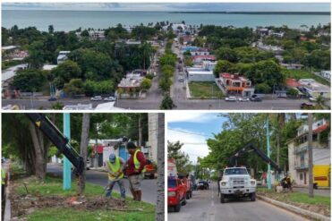 Renovarán de punta a punta el alumbrado de la avenida Reforma